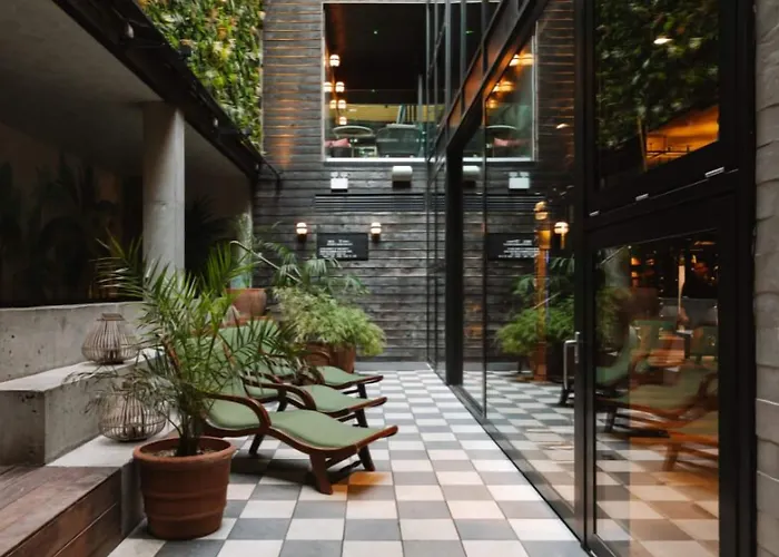 Сity center hotels Mayson